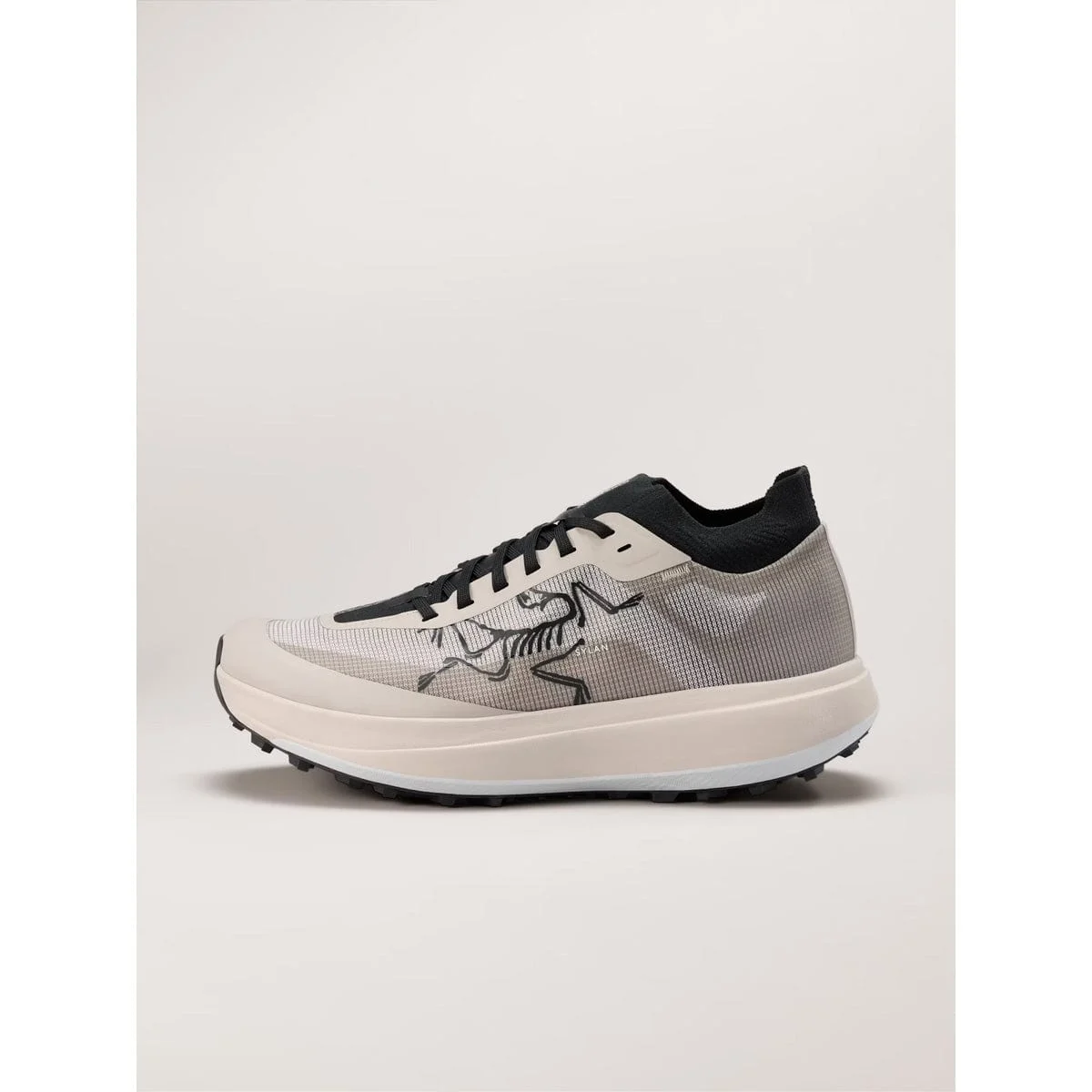 Arc'teryx Men's Sylan PRO Running Shoe