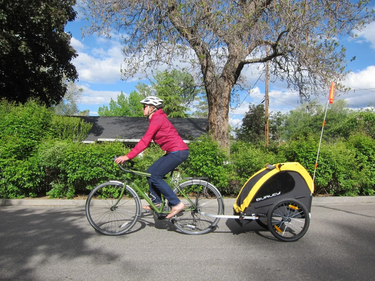 Burley Bee Review