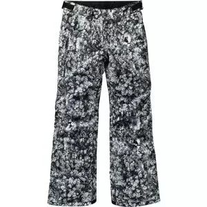 Burton Barnstorm Pant