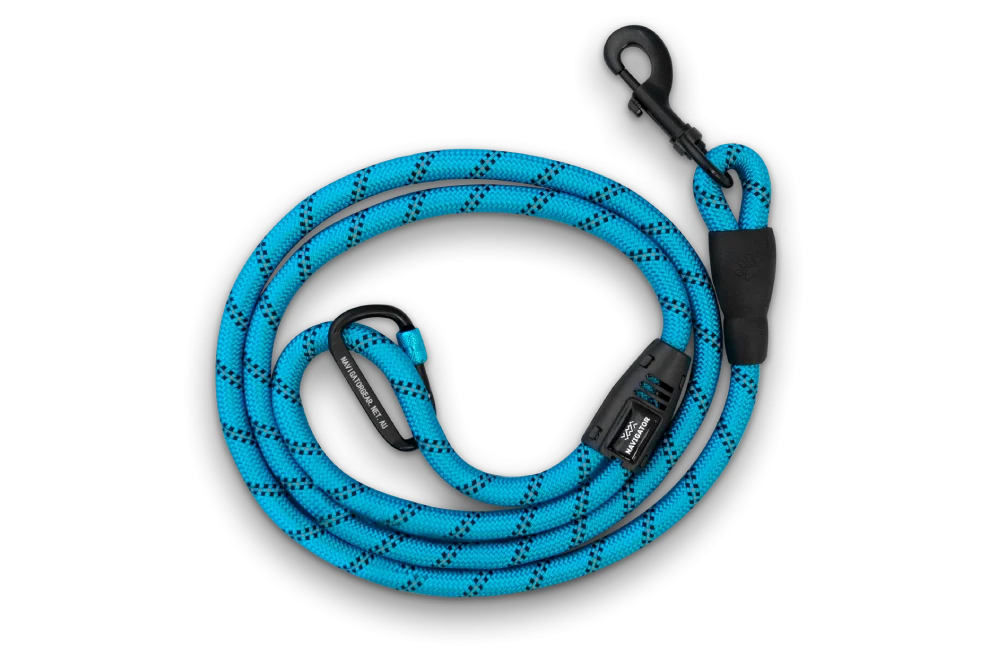 DOG LEASH BUDDY