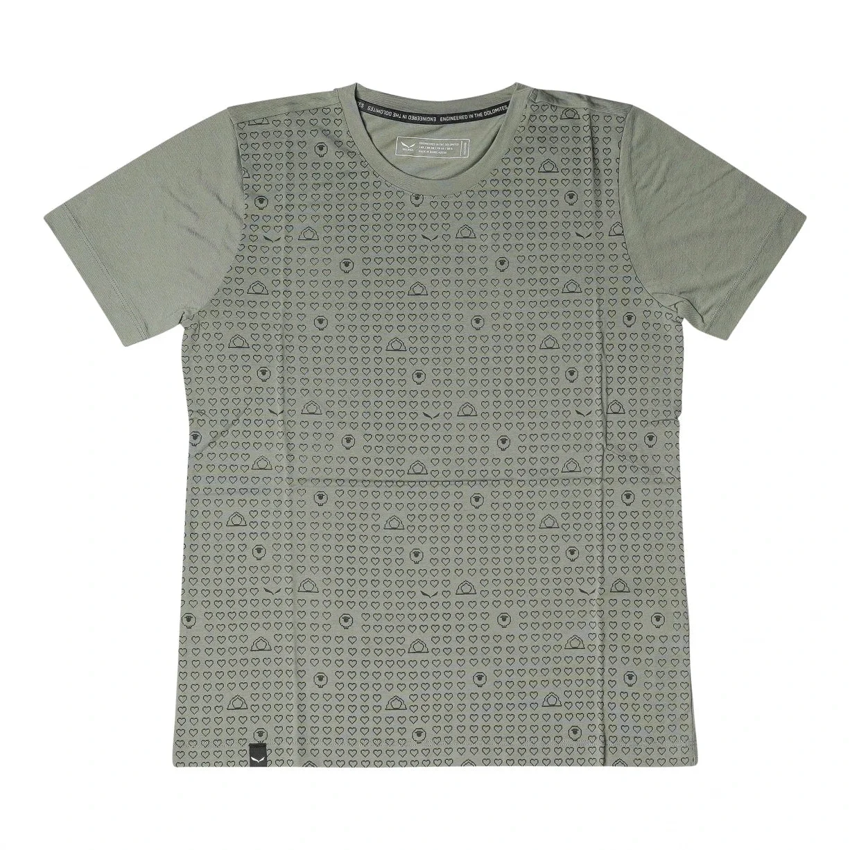 Salewa Eagle Sheep Camp Dry T-Shirt - Women's