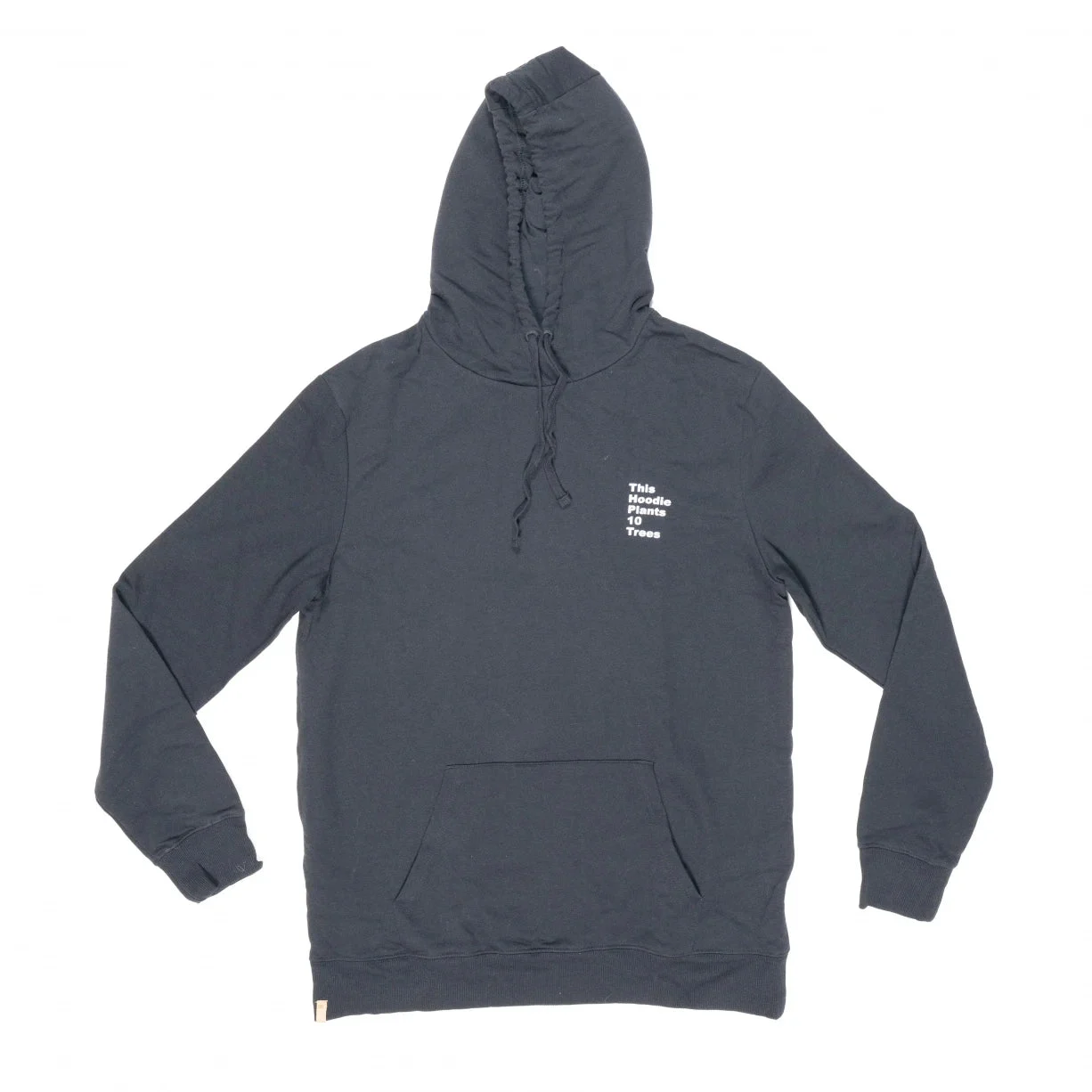 Tentree Eco Facts Hoodie - Men's